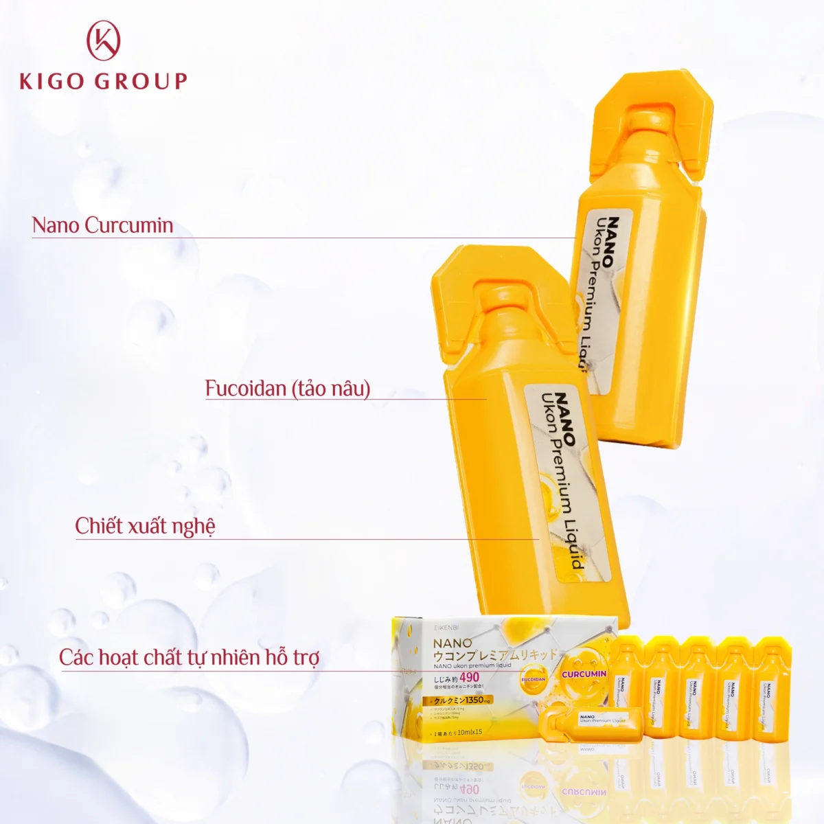 tinh-chat-nghe-nano-tao-nau-fucoidan-eikenbi-2