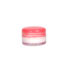 naris-wrinkle-plus-alpha-super-lip-repair-10g